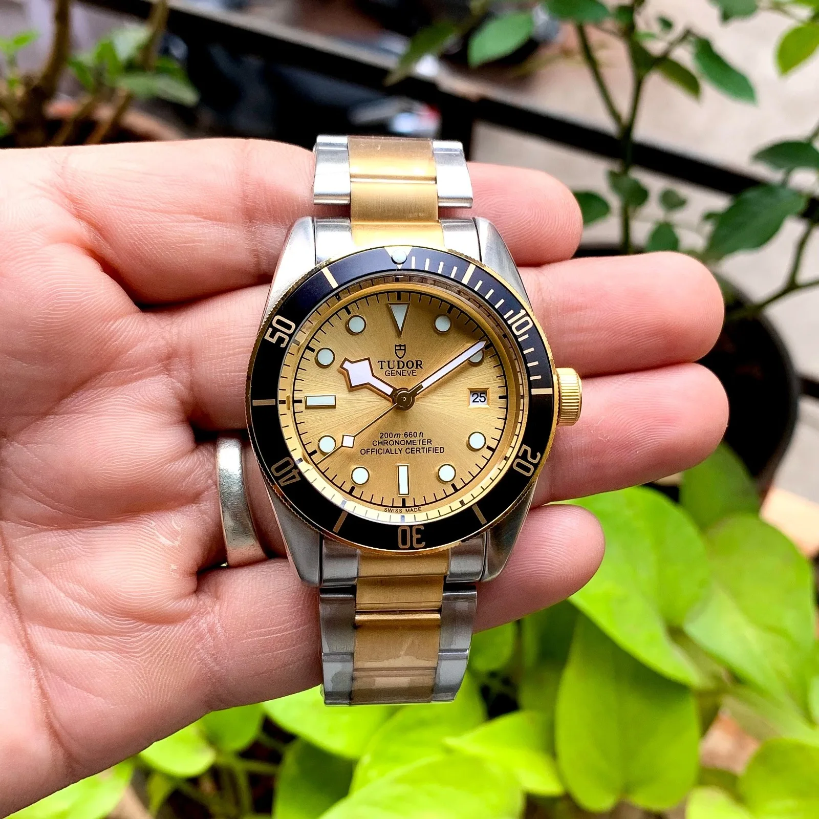 Tudor Black Bay Gold Silver 41MM
